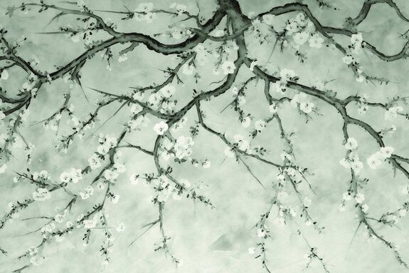 Branches avec des fleurs de cerisier en tons gris