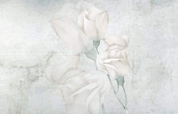 Fleurs de roses blanches sur fond en béton