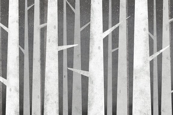 Troncs de bouleau gris avec des branches épineuses