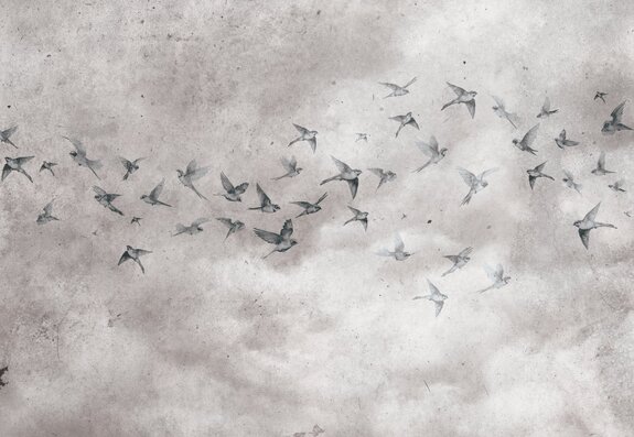 Oiseaux sur fond en béton de style loft