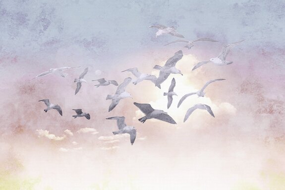 Oiseaux volant sur un ciel délicat