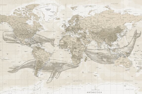 Baleines et carte du monde en style vintage