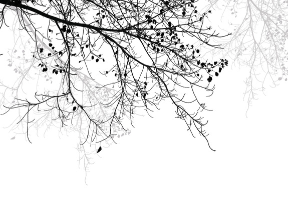 Branches d'arbre en style noir et blanc