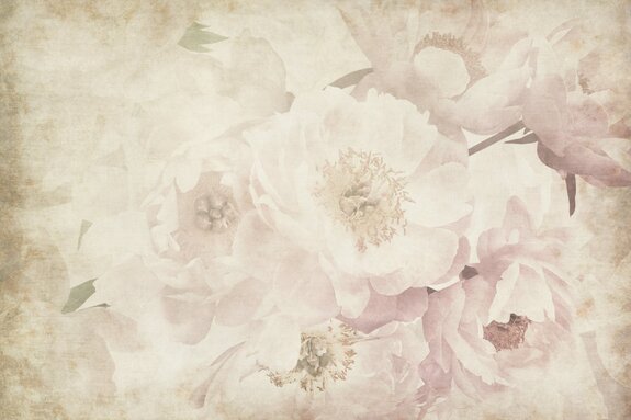 Pivoines romantiques en style rétro