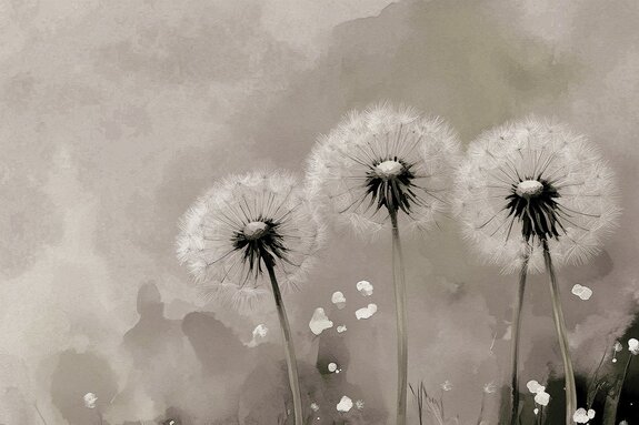 Pissenlits artistiques sur fond texturé