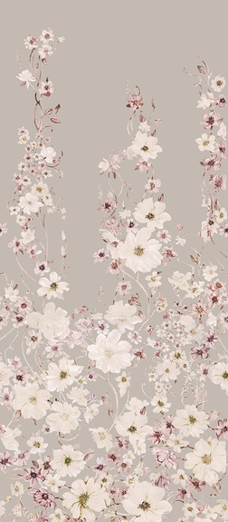 Fleurs roses et blanches sur un fond clair