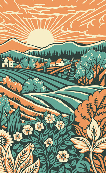 Coucher de soleil sur une prairie