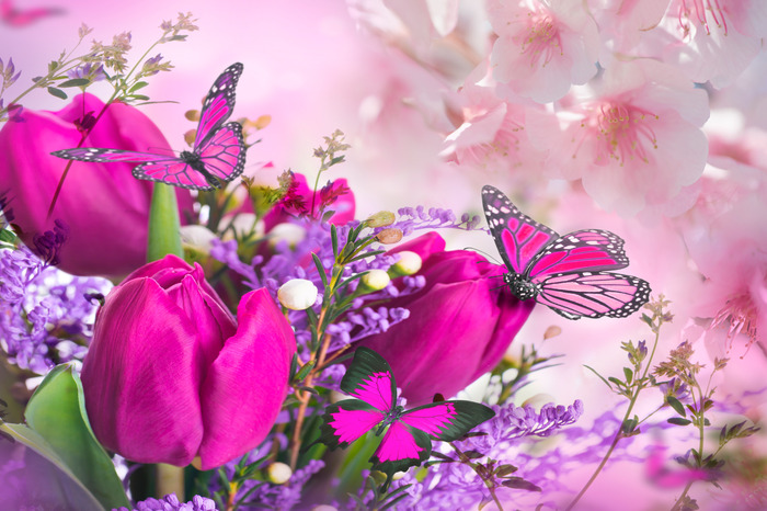Tulipes roses avec des fleurs violettes et des papillons