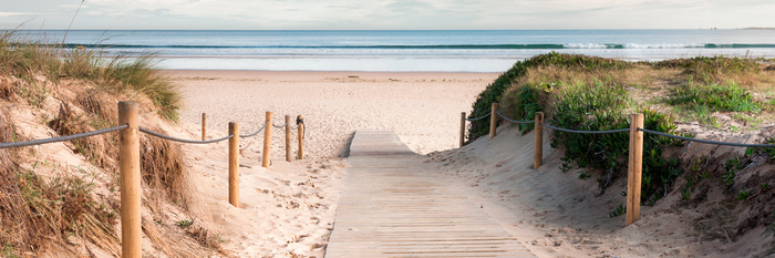 Accès à la plage par un chemin de planches
