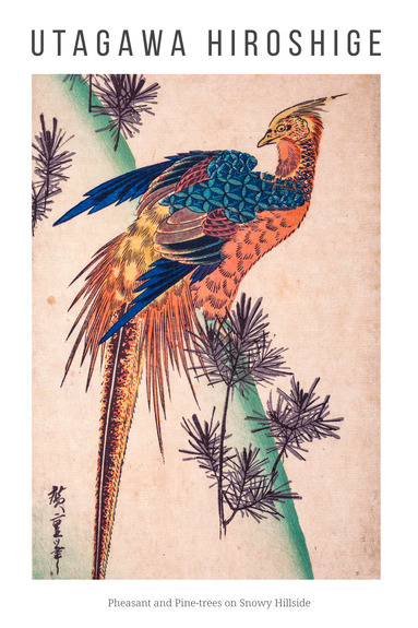 Un magnifique oiseau exotique dans son habitat naturel