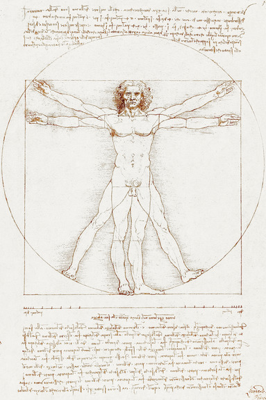 Proportions mathématiques du corps humain selon vitruve