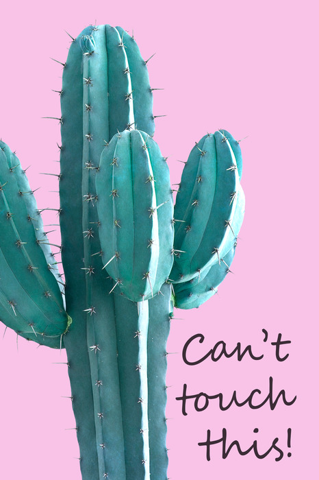 Un cactus avec une inscription amusante sur fond rose