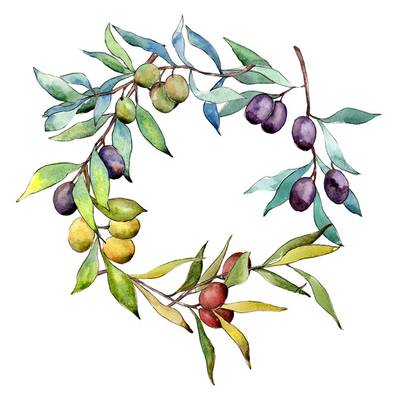 Couronne d&#39;olivier aquarelle