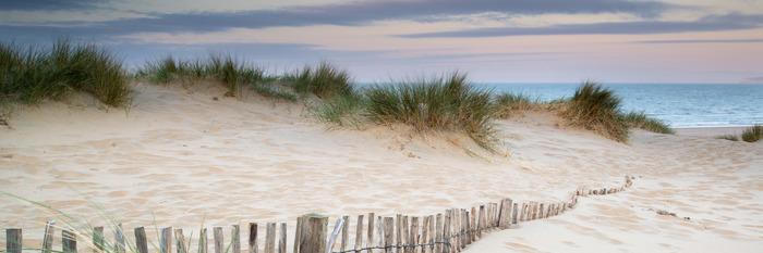Une plage de sable et de végétation côtière