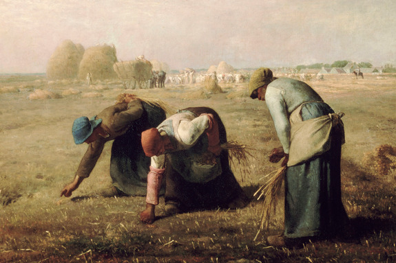 Des femmes cueillent des épis de blé dans un champ.