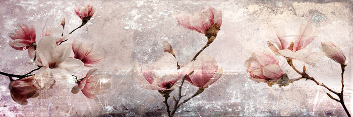 Branches de magnolia rose vintage