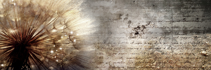 Pissenlit dans une teinte dorée avec texte et texture