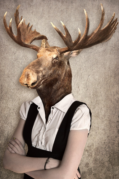 Brainy moose (1 part) vertical