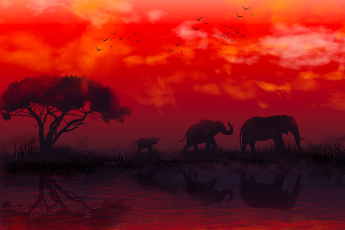 Éléphants au-dessus de l'eau dans une lueur rouge