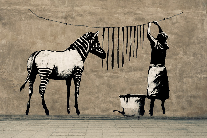 L'œuvre de banksy intitulée « zebra washing »