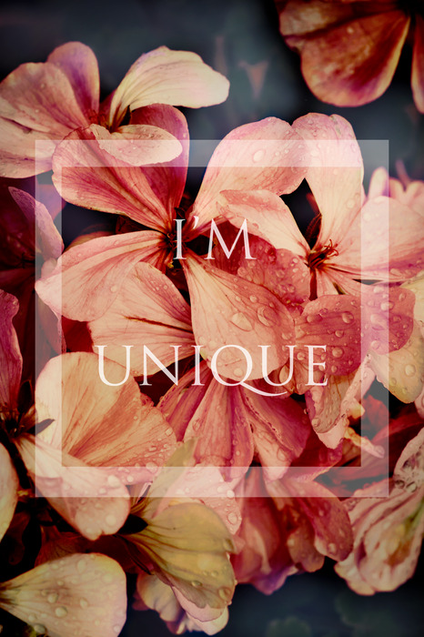 Inscription sur fond de pétales de fleurs