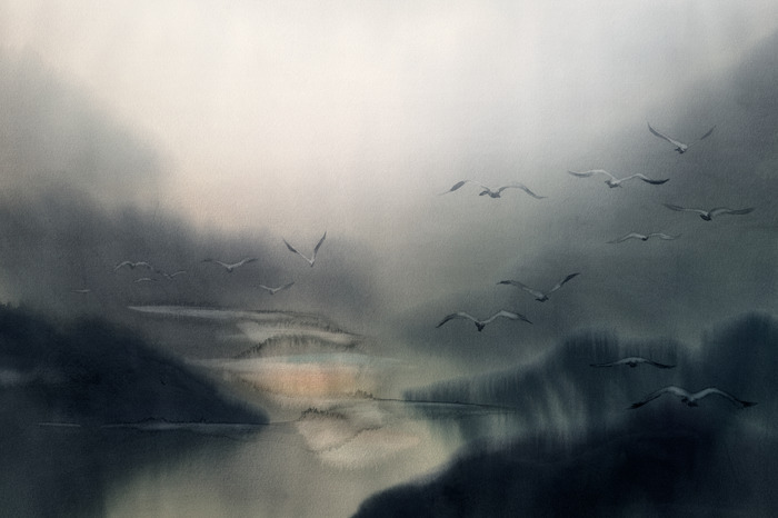 Une rivière brumeuse dans le paysage