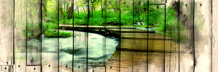 Paysage de rivière et d'arbres sur bois