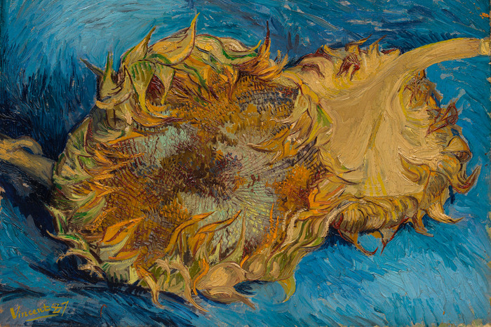 Tournesols peints sur fond bleu