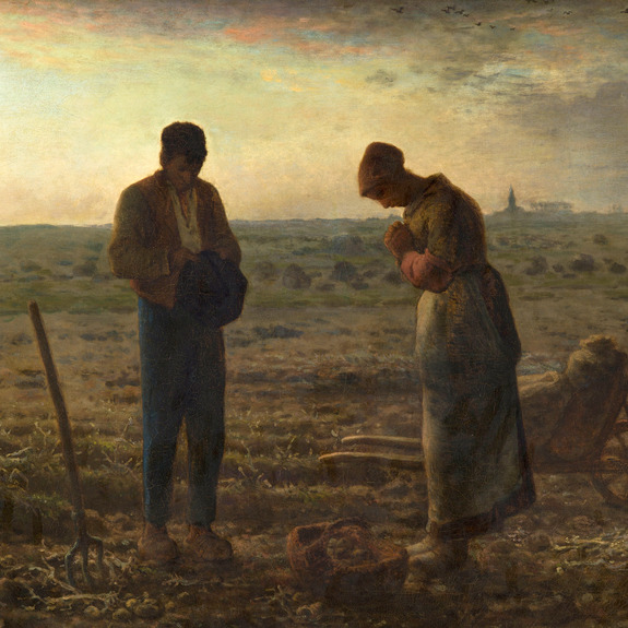 Agriculture et travail quotidien dans les champs