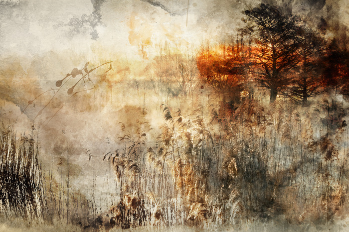 Composition artistique avec de l'herbe et un arbre