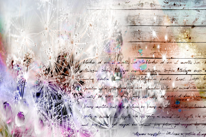 Pissenlits pastel avec texte sur fond de bois