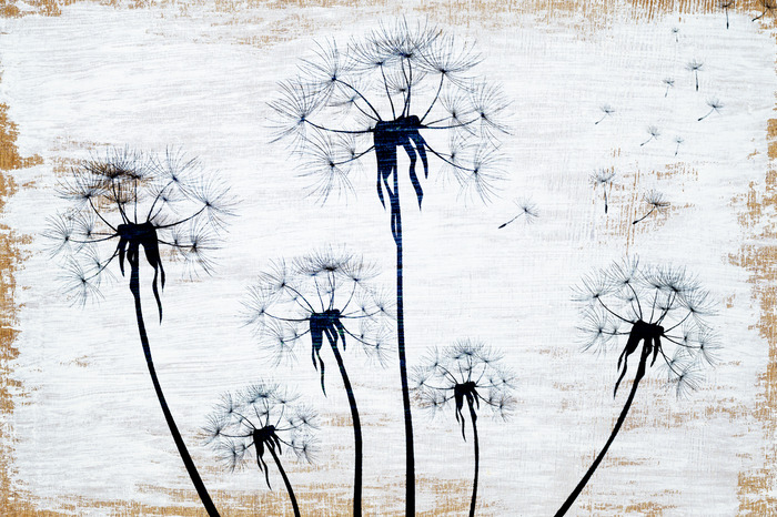 Silhouettes minimalistes de pissenlits sur une texture blanche