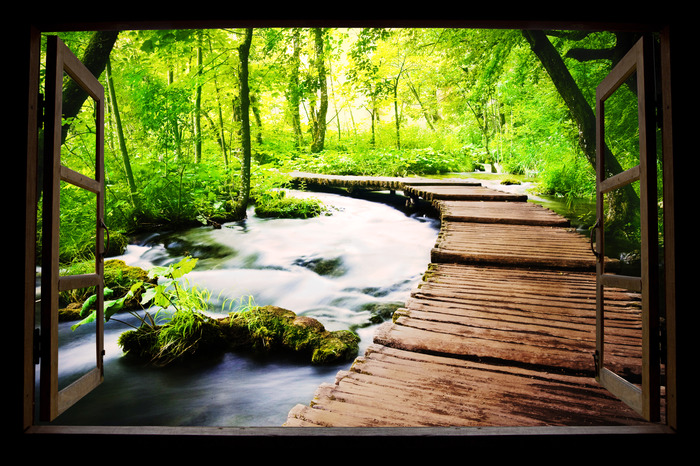 Fenêtre en bois ouverte sur la rivière dans la forêt