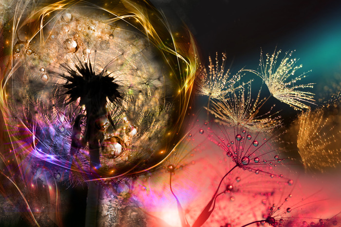 Un pissenlit coloré dans un style artistique lumineux