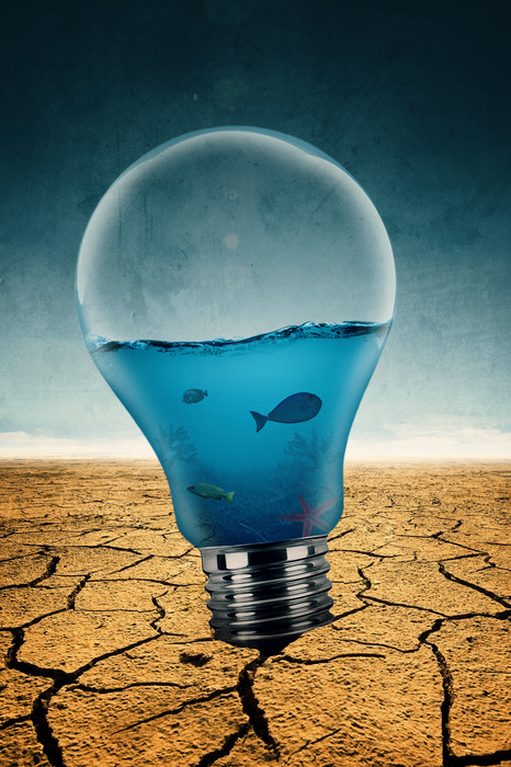 Ampoule abstraite avec des poissons dans le désert