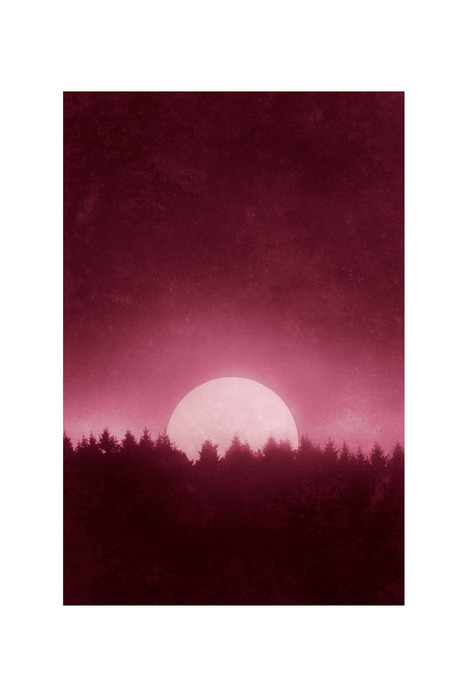 Paysage rose avec la lune