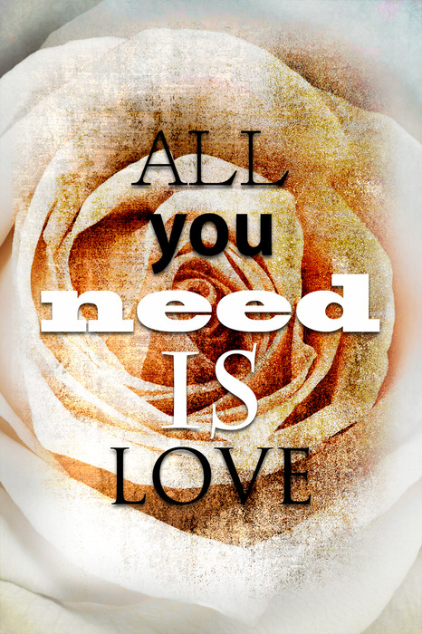 Une citation sur l'amour avec une rose en arrière-plan