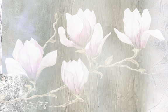 White magnolias (1 part) wide