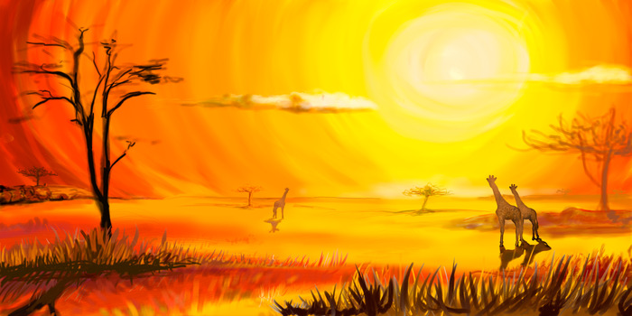 Savane orangée avec des girafes