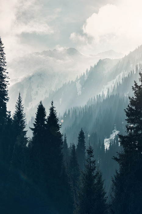 Paysage de montagne brumeux avec forêt au lever du soleil