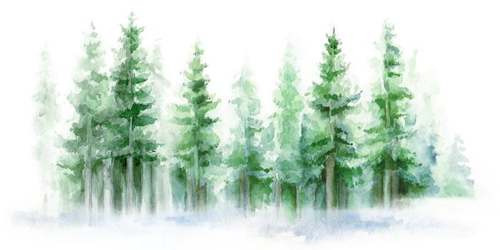 Paysage à l'aquarelle avec des conifères