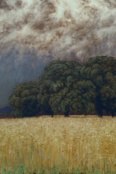 Des champs de blé dorés sous un ciel sombre et orageux