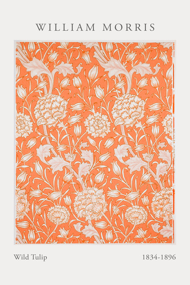 Une subtile ligne de tulipes sur un fond orange