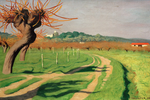 Une vue magique de la vallée de cagne sous la douce lumière du soleil