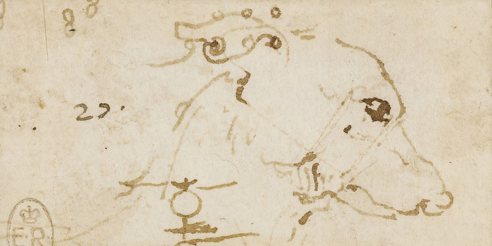 Étude d'une tête de chien dans le style renaissance