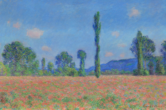 Un champ pittoresque de coquelicots rouges entouré d&#39;un épais bosquet d&#39;arbres