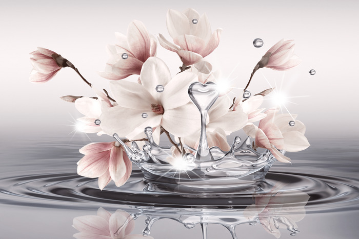 Des magnolias roses se reflètent au-dessus de la surface de l'eau.