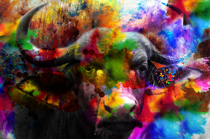 Buffalo aux couleurs de peinture intenses