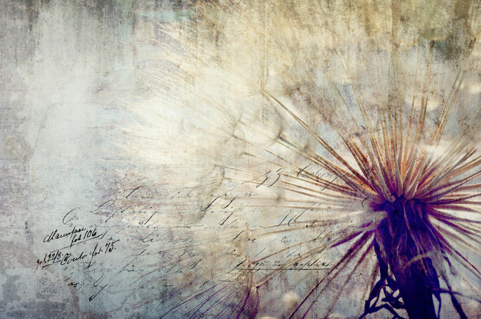 Pissenlit beige à effet vieilli et texte