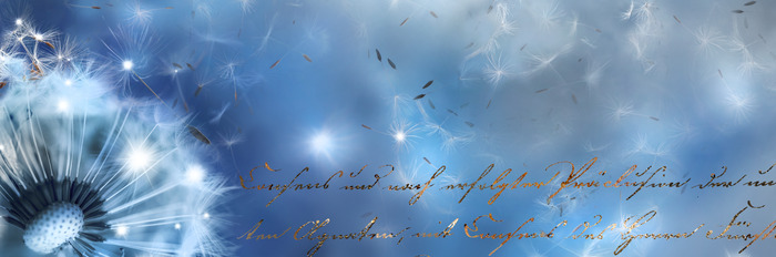 Pissenlits flottant sur un fond bleu avec du texte